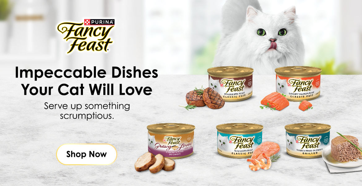 Fancy Feast - Impeccable Dishes your cat will love